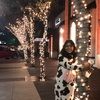 sabiha_a